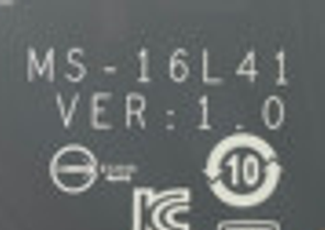 MS-16L41 VER10.png
