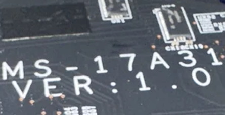 MS-17A31 VER10.png
