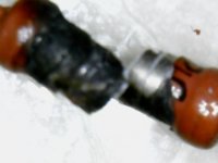 43420.jpg