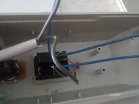 IMG_20201111_131114.jpg