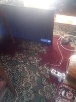 IMG_20210820_094427.jpg