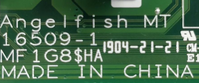 Angelfish MT 16509-1.png