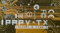 IPPPV-TX Rev104.png