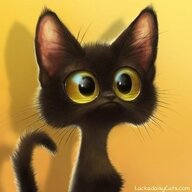 Kitenok
